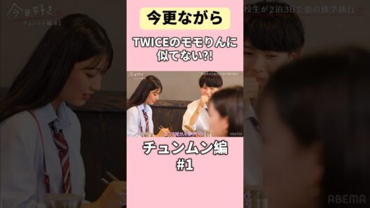【TWICE】モモりんに似てるな、と今更ながら🤔🤔【今日好き】 #今日好き #abema #切り抜き#short #fyp