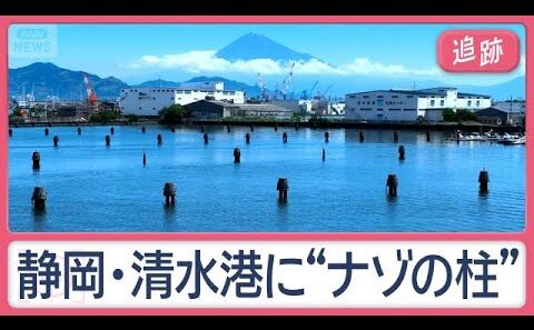 神社に“謎の球体”海岸にも？　ミステリー…石を飲み込む木　街のフシギ調査隊【Jの追跡】【スーパーJチャンネル】(2026年7月11日)