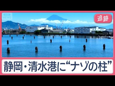 神社に“謎の球体”海岸にも？　ミステリー…石を飲み込む木　街のフシギ調査隊【Jの追跡】【スーパーJチャンネル】(2026年7月11日)
