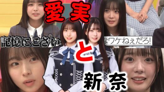 【ゆっくり解説】大野愛実ちゃんと坂井新奈ちゃんって、どんな子か知りたい？これを見れば全部丸わかりできる…かも？【日向坂46】【五期生】