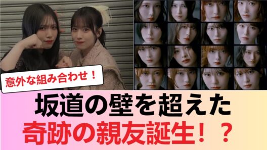 【特大朗報】櫻坂46遠藤光莉と日向坂46宮地すみれの交友関係が明らかに【坂道】 #櫻坂46 #櫻坂46反応集 #そこさく