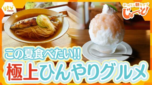古都で味わう極上ひんやりグルメ！この夏食べたい！名物「鮎麺」＆絶品ふわふわかき氷【テッパン朝ライブ じゅーっと！/じゅーっ特集！生中継】