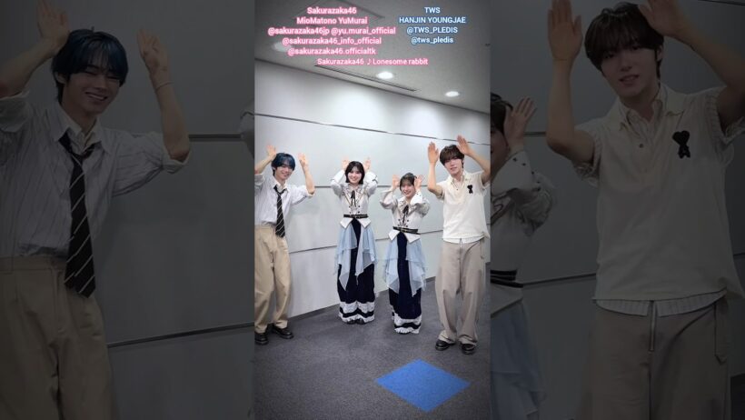 櫻坂46×TWS 的野美青 村井優 HANJINさんとYOUNGJAEさんでLonesome rabbit 踊ってみた♪