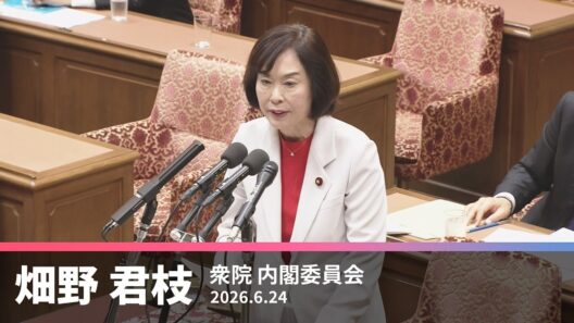 【畑野君枝】国旗損壊処罰法の問題点について　2026.6.24【国会質問】