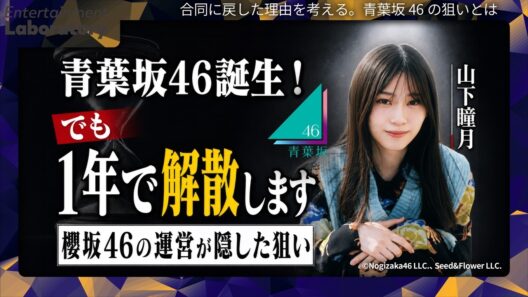 【山下瞳月】1年で解散する青葉坂46に隠した狙い！新育成戦略が目指す次の10年とは？8年ぶりの合同オーディション【戦略考察】