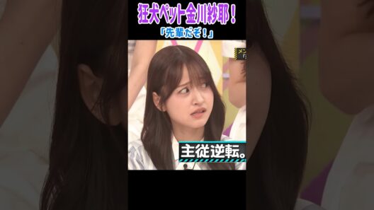 ブチギレ！狂犬ペット金川紗耶！