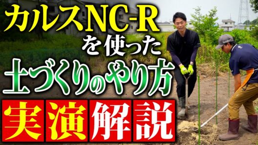 実際にやってみました！カルスを使った土づくりを大成功させる「もみ殻×硫安」の正しい撒き方【家庭菜園 土づくり ガーデニング カルスNC-R】