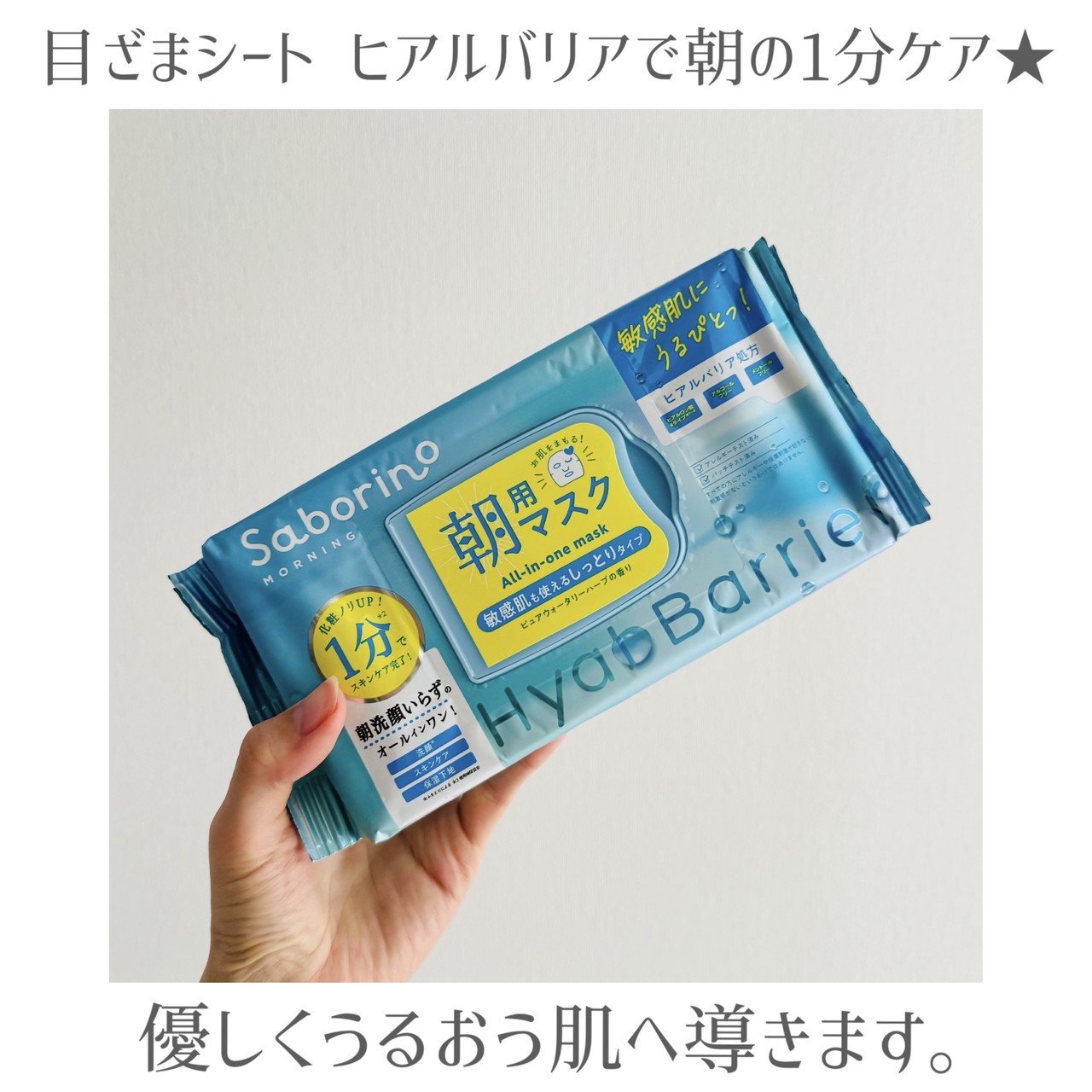 サボリーナのブログ記事のTOP画